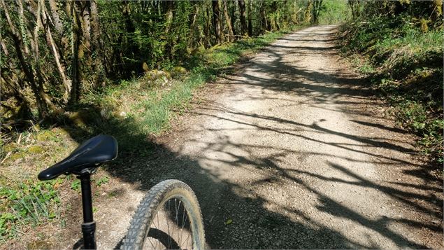 Circuit VTTAE n°15 (rouge) - Les 4 cols du Revermont_Val-Revermont - scalland
