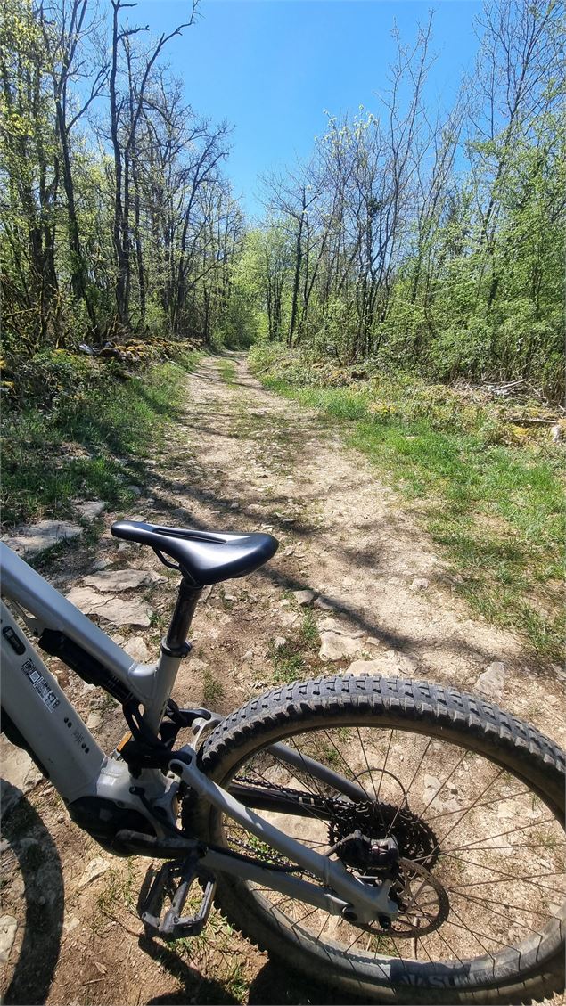 Circuit VTTAE n°15 (rouge) - Les 4 cols du Revermont_Val-Revermont - scalland