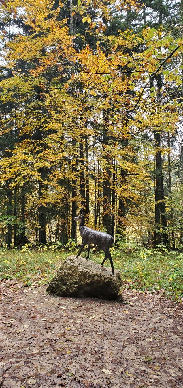 Balade - La piste des animaux - Pascal Hanot - HautBugey agglomération