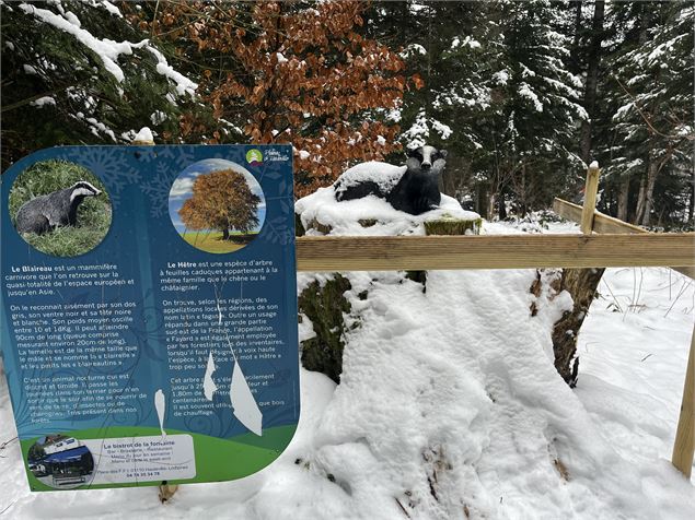 La piste des animaux en hiver - Pascal Hanot - HautBugey agglomération