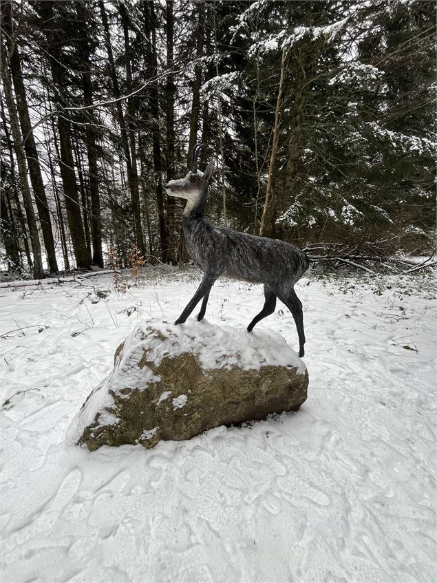 La piste des animaux en hiver - Pascal Hanot - HautBugey agglomération