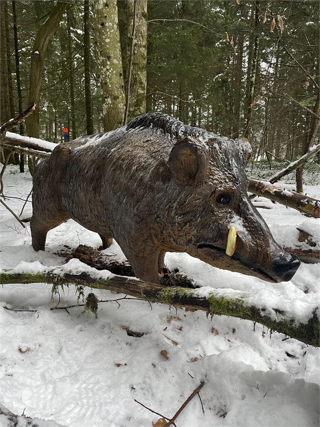 La piste des animaux en hiver - Pascal Hanot - HautBugey agglomération