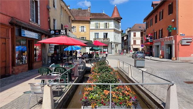 Compostelle Savoie - Etape 2 - De Chanaz à Yenne - K.Mandray