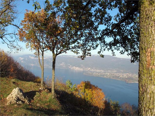 www.bourgetdulactourisme.com - Grand Lac