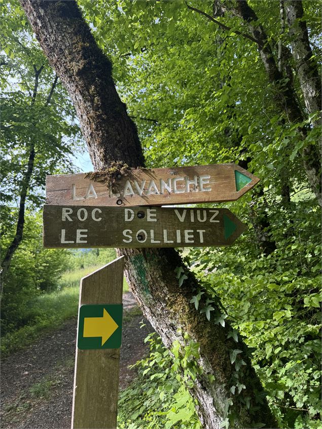 Randonnée pédestre : Boucle au Roc de Viuz (petite boucle)_Saint-Ferréol - OTSLA