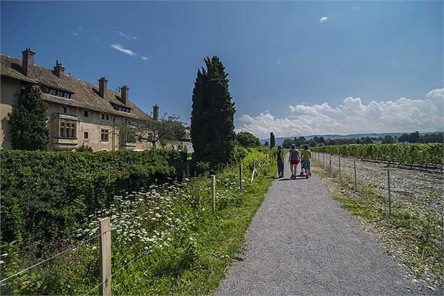 Géosite du château de Ripaille - SIAC - A. Berger