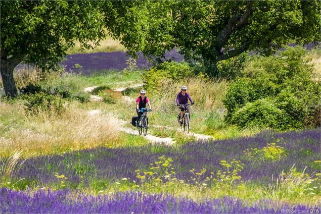 Les P'tites Routes Du Soleil ® - Grandes itinerances SAS