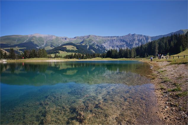 lac - DDD