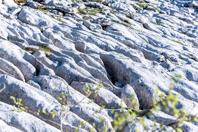 Le Plateau du Parmelan_Fillière - Alain Dujardin / photoslahaut.com