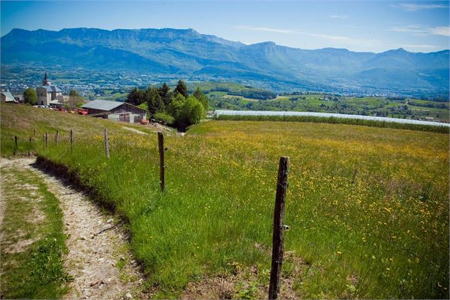 SENTIER ST SULIPICE - C Pozo