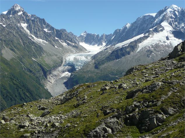 Réserve naturelle du Vallon de Bérard - asters