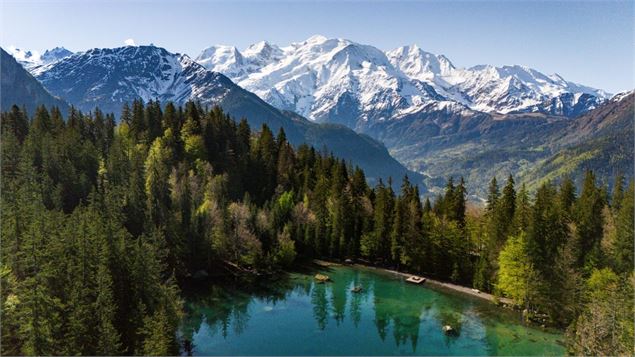Le Lac Vert - Arnaud Lesueur