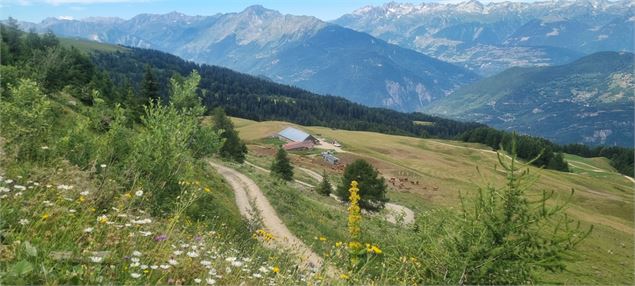 sentier - Cœur de Tarentaise Tourisme