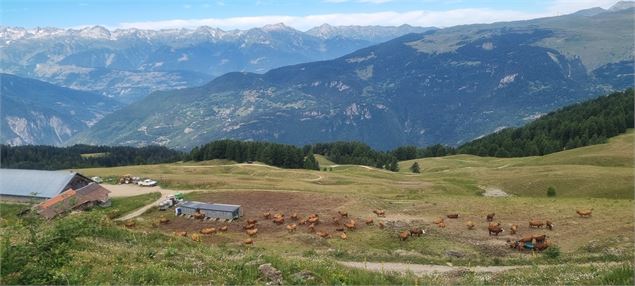 Site d'alpage - Cœur de Tarentaise Tourisme