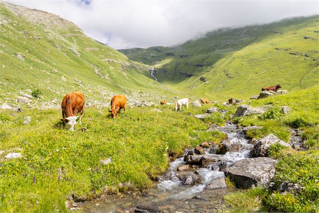 Boucle des Chalets du Vallon - Itinérance pédestre en 2 ou 3 jours_Valloire - Jean-Luc Ottenio