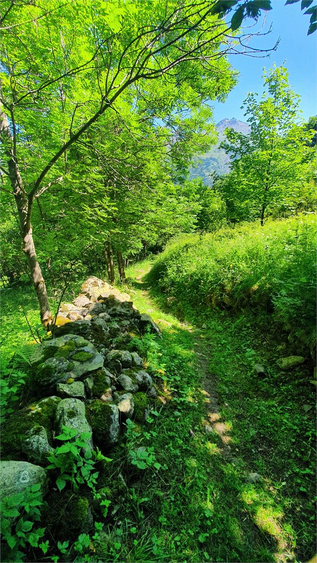 Sentier à thème sur les oiseaux le moulin des combes Valmeinier - Mairie de Valmeinier