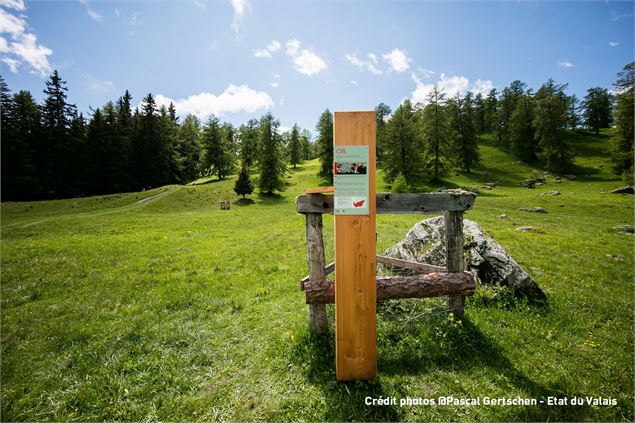 Chemin du Bicentenaire - Etat du Valais // Pascal Gertschen