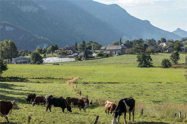 Sous Mollard - Jean François Vellard