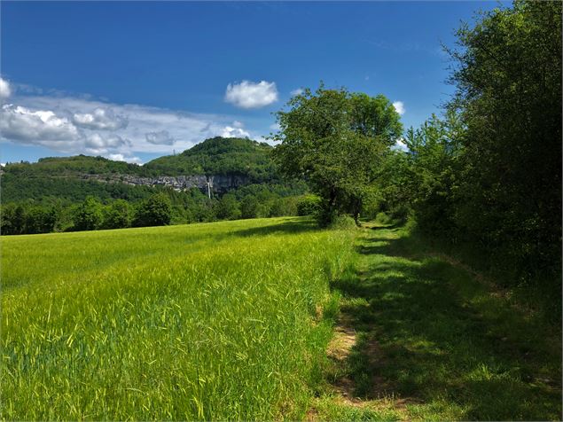 Balade nature : Le Tour du Fierloz_Artemare - M.Ballet