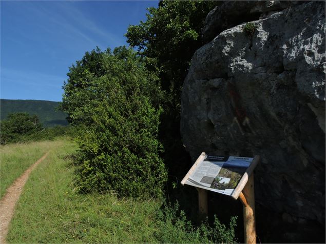 Balade nature : Le Tour du Fierloz_Artemare - M.Ballet