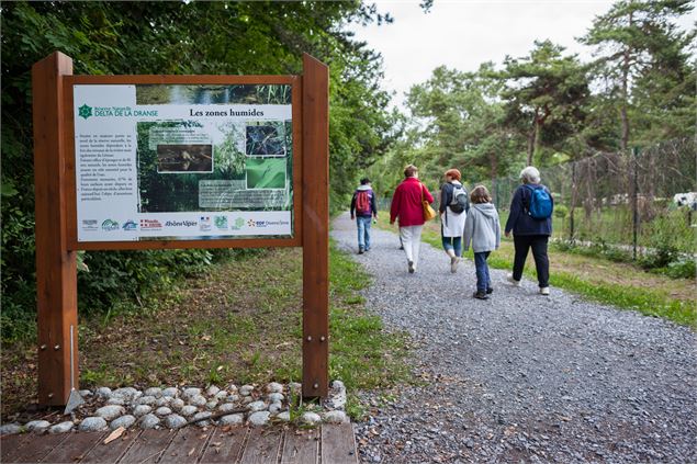 Réserve Naturelle du Delta de la Dranse - Pierre Thiriet