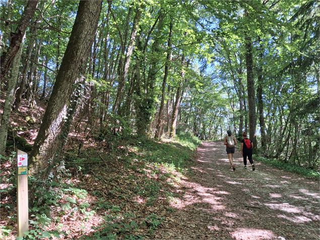 Sentier - Grand Lac