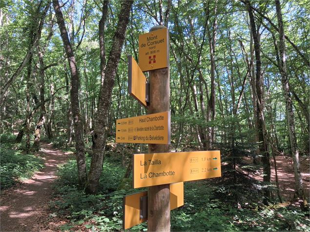 Indications sentier - Grand Lac
