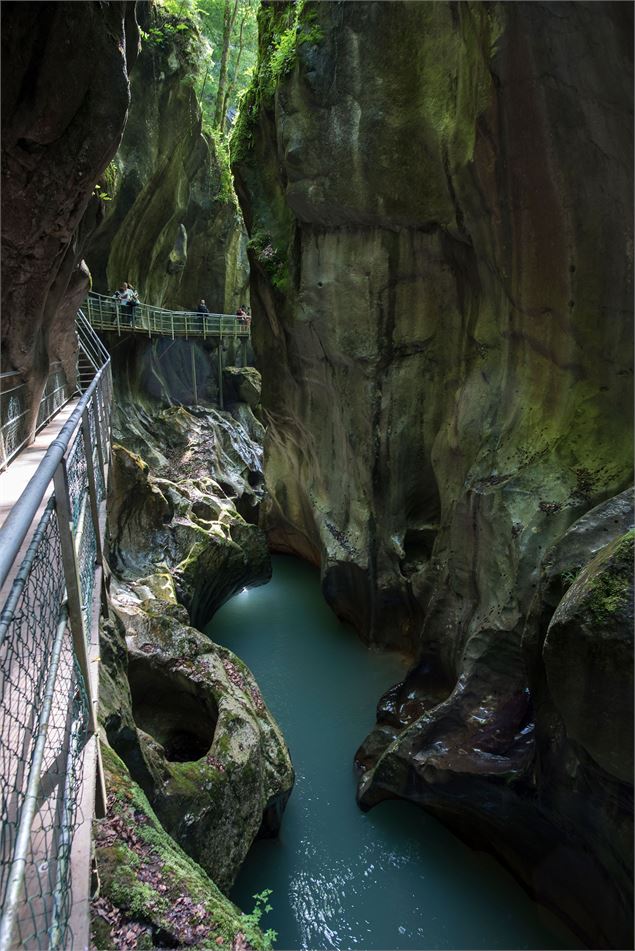 Gorges du Pont du Diable - Yvan Tisseyre / OT Vallée d'Aulps
