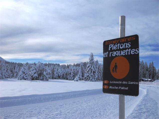 Piste piétonne Roche-Pallud - Praz de Lys Sommand Tourisme