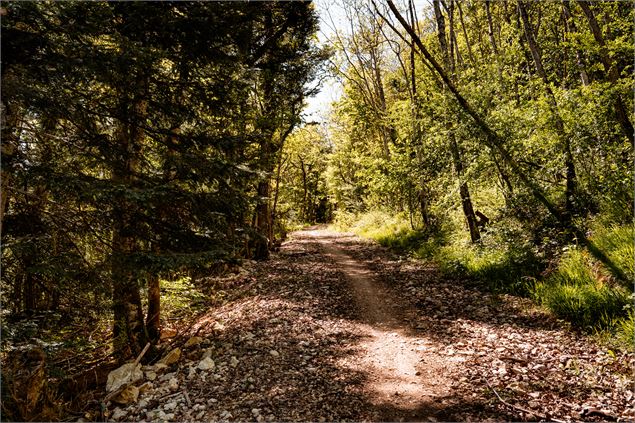 Boucle pédestre : chemin du Funiculaire_Monnetier-Mornex - OT Monts du Genevois - BriceSouvansanouk