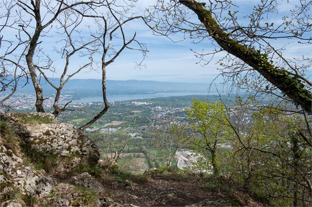 Point de vue Pas de l'Echelle - OT_Monts_du_Genevois_-_Brice_Souvansanouk