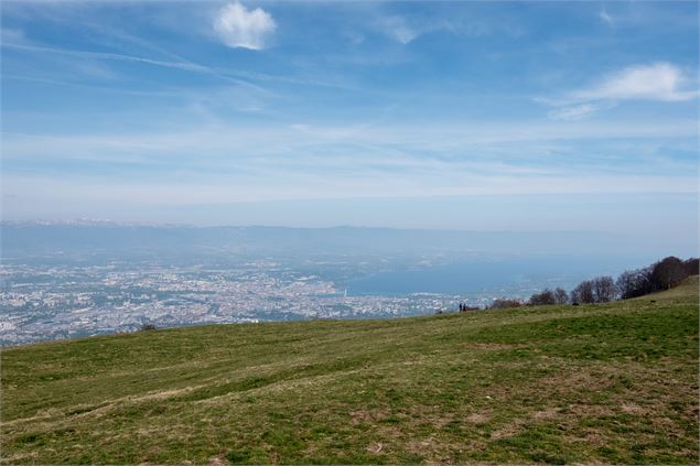 Panorama sur le lac Léman - Alpcat médias