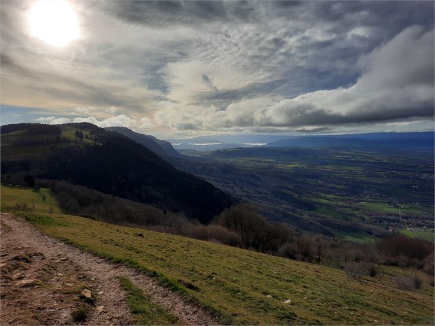Vue depuis l'alpage des Crets - Alpcat médias