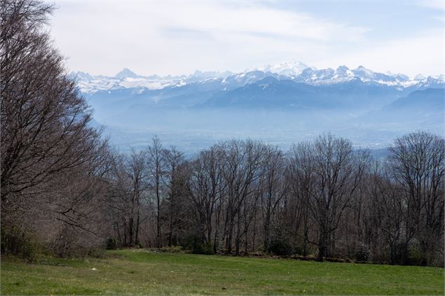 Point de vue Balcons des Crêts - Alpcat médias
