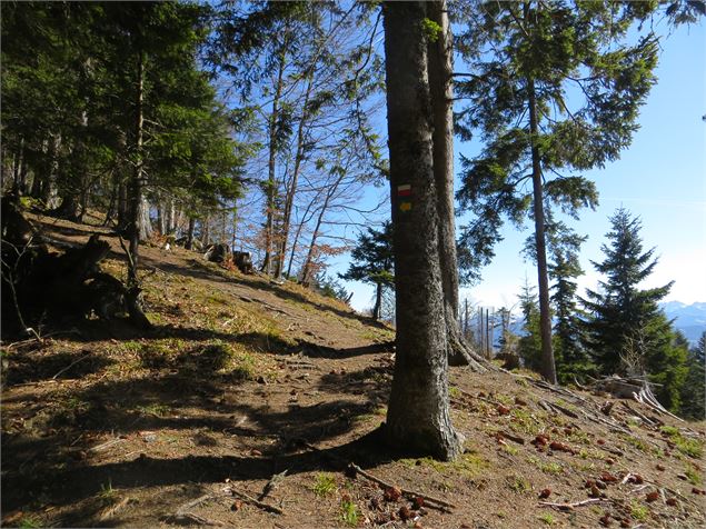 Sentier de la Cave aux Fées - Brice Souvansanouk