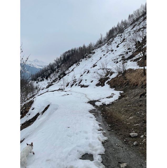 Boucle des Échines puis le Pont du Moulin - Les Arcs