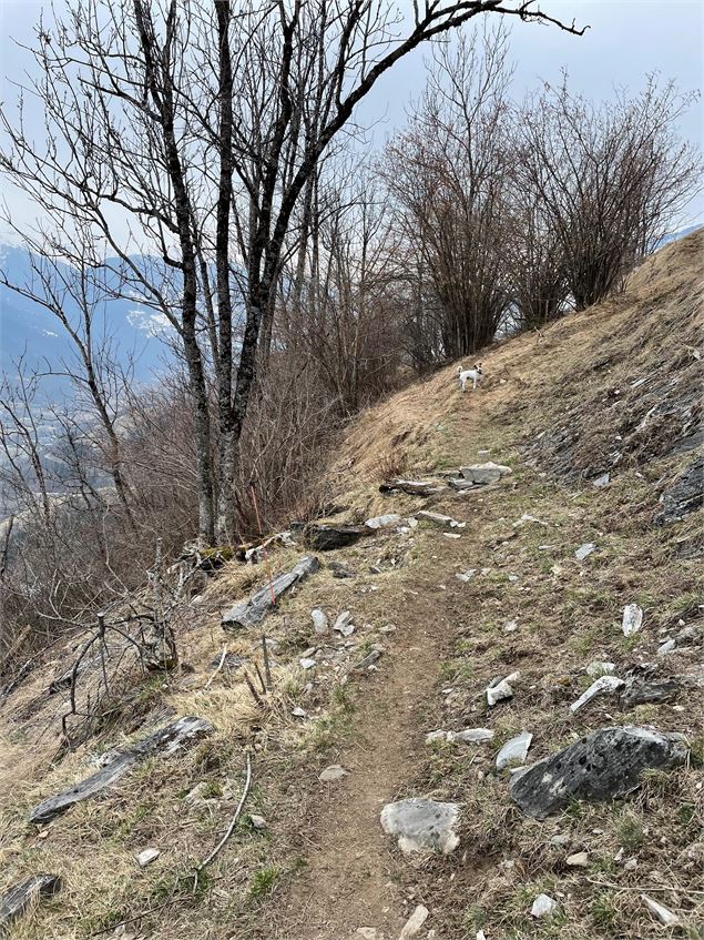 Boucle des Échines puis le Pont du Moulin - Les Arcs