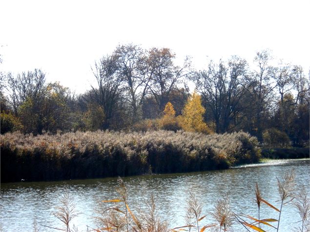 Etang Turlet - Dombes Tourisme
