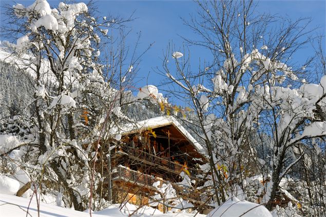 Chalet à Châtel - JF Vuarand