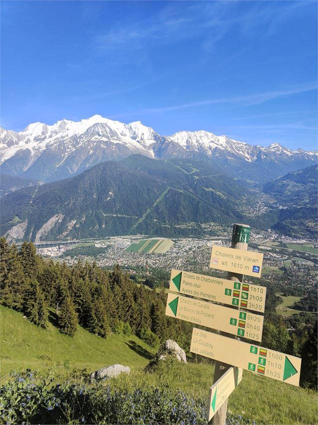Varan depuis le Coudray_Passy - Passy Mont-Blanc Tourisme