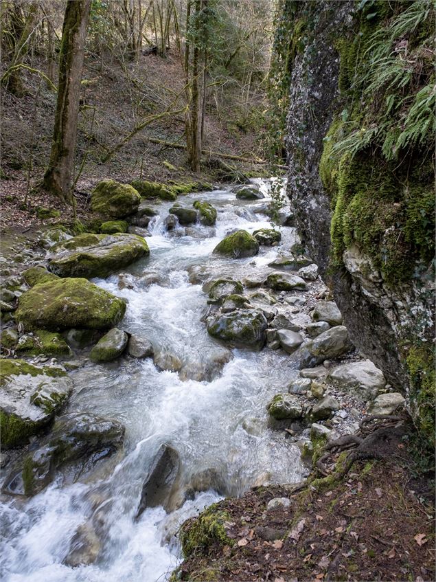 Boucle pédestre : La Bénite Fontaine_La Roche-sur-Foron - Alexis Brochot