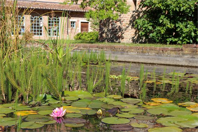 Jardin de l'ancien hopital - Musée municipal Châtillon-sur-Chalaronne