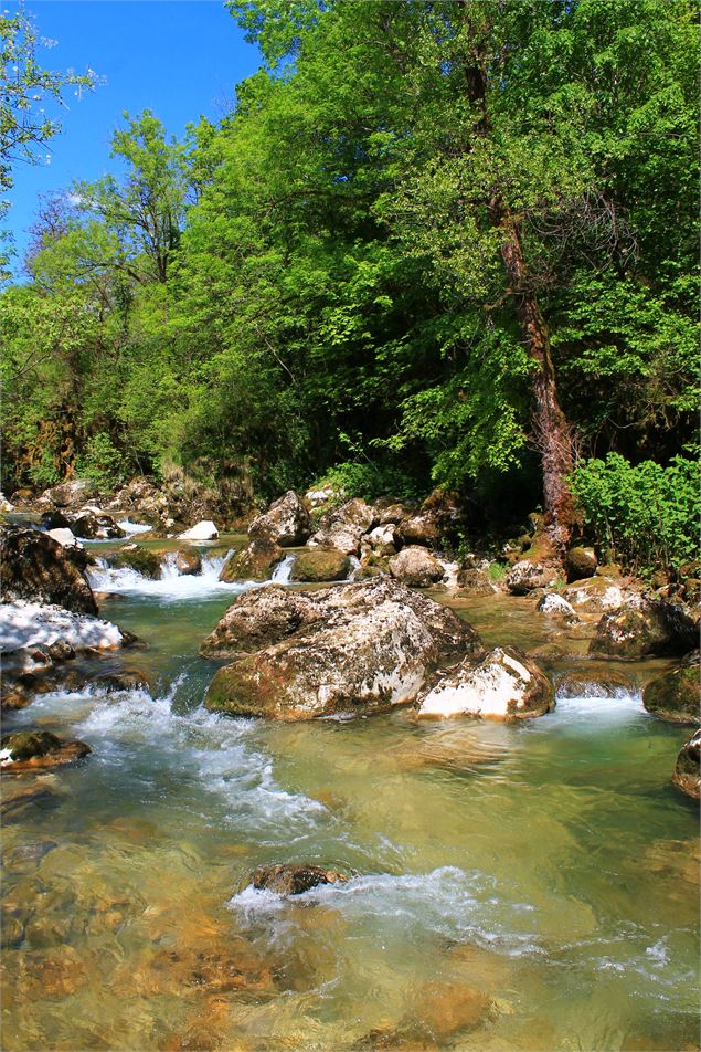 vue de la rivière - Allard Vincent
