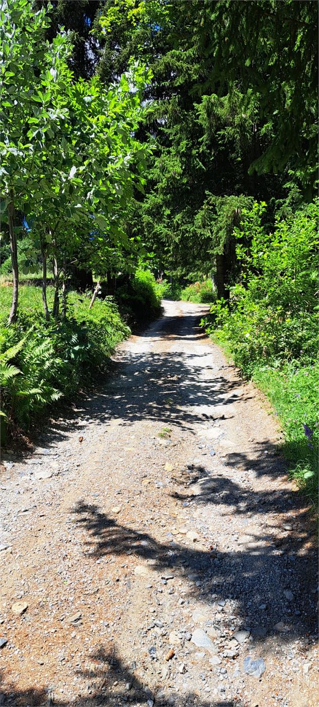 Montée en direction de l'Herney - Jean Marc Barey