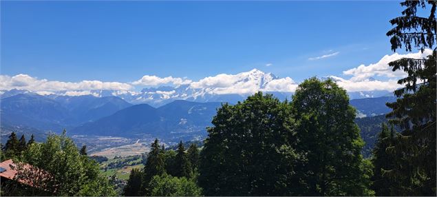 Vue du Mont-Blanc - Jean Marc Barey