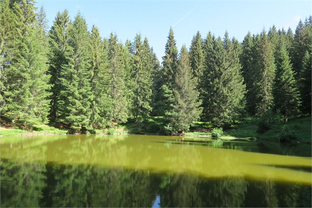 Lac du Fouyet - Victor Demilly / Vallée d'Aulps Tourisme