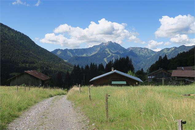 Randonnée pédestre : le lac du Fouyet_Saint-Jean-d'Aulps - Victor Demilly / Vallée d'Aulps Tourisme