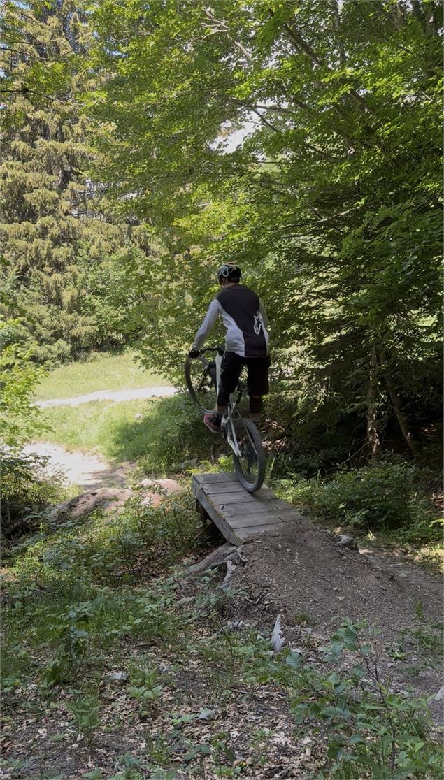 Descente D-Fiz_Passy