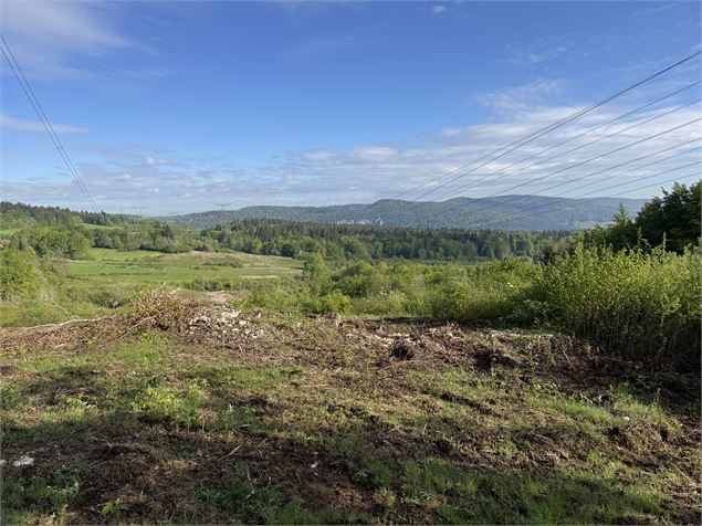 Point de vue sur parc éoliens et Monts Jura