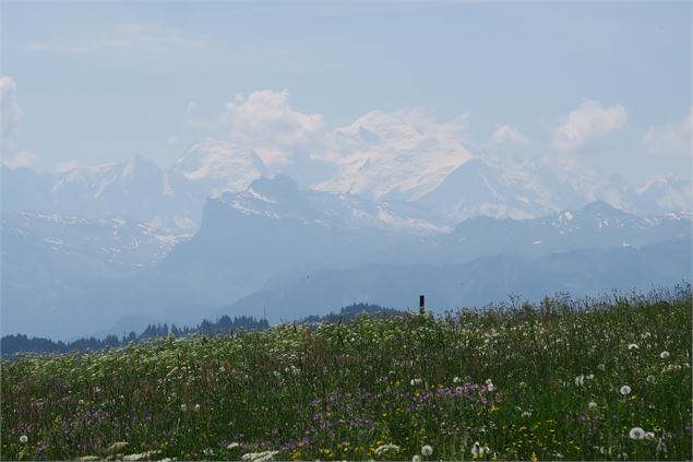 Le Mont Chéry par le Mont Caly_La Côte-d'Arbroz - Victor Demilly / Vallée d'Aulps Tourisme